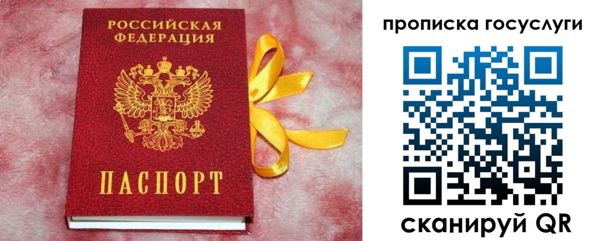 прописка законно в Кургане